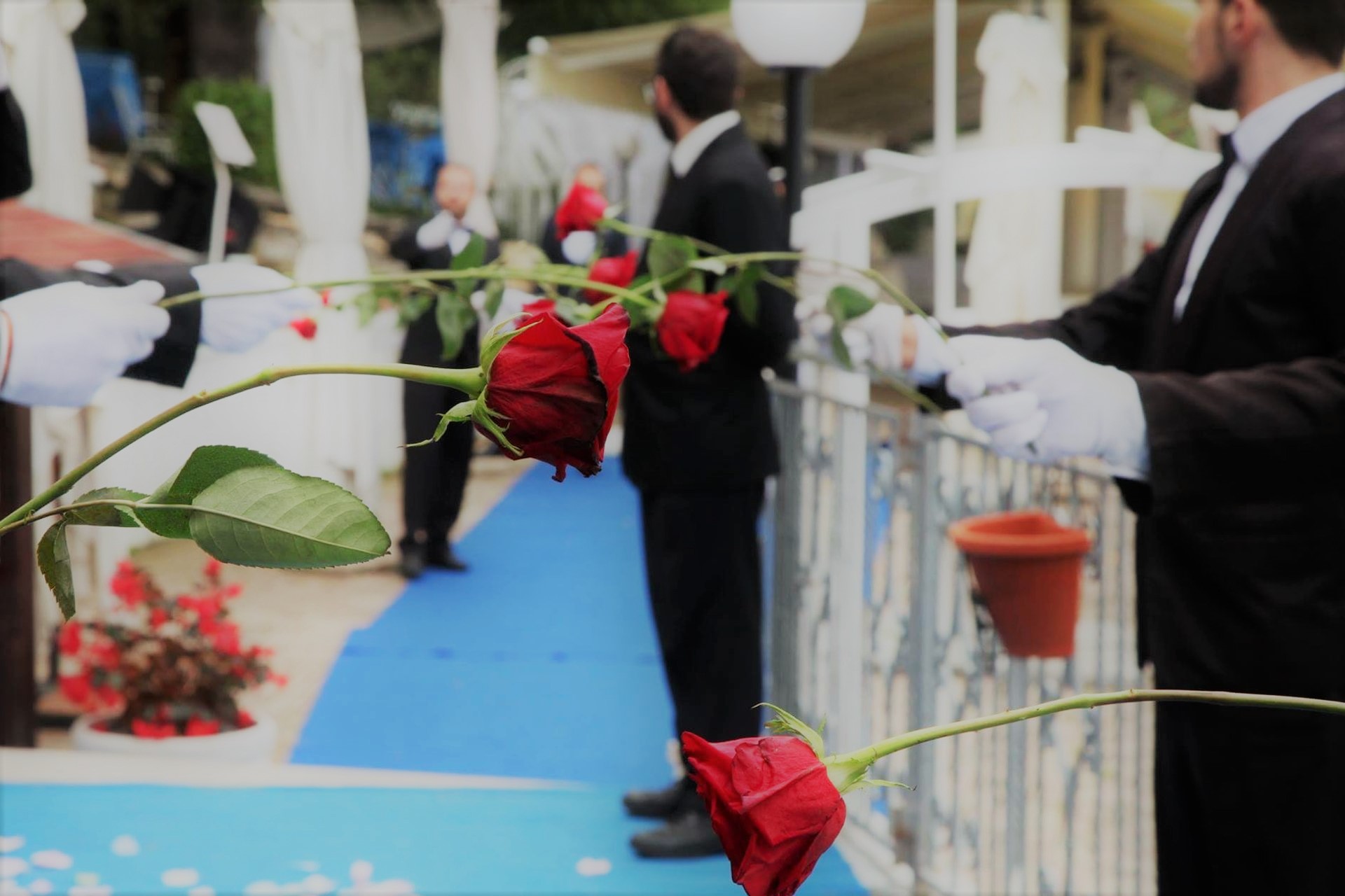 @ingresso rose